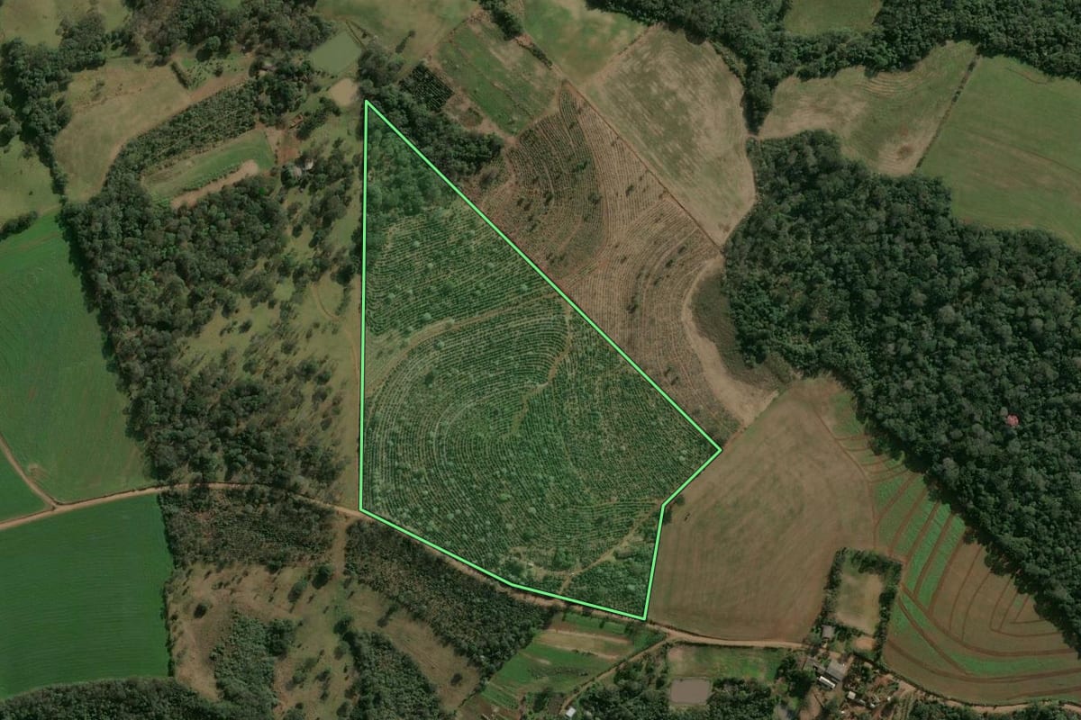 Imagem de satélite do imóvel rural em Chapecó (SC), com o contorno declarado no CAR desenhado por cima.