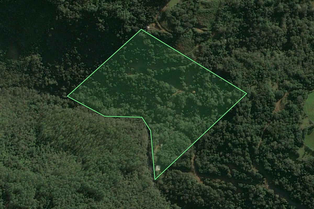 Imagem de satélite do imóvel rural em Chapecó (SC), com o contorno declarado no CAR desenhado por cima.