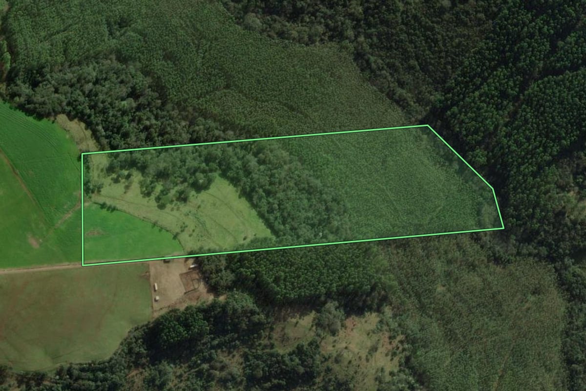 Imagem de satélite do imóvel rural em Chapecó (SC), com o contorno declarado no CAR desenhado por cima.