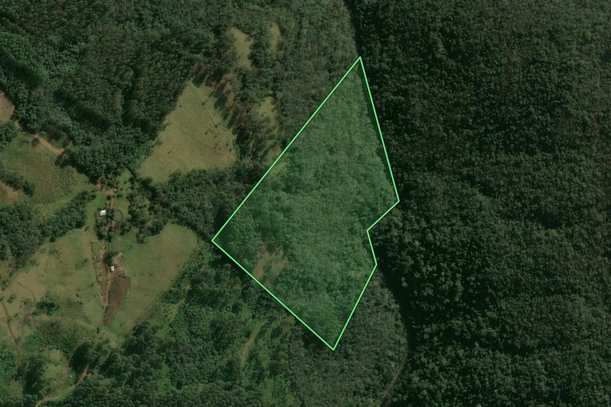 Imagem de satélite do imóvel rural em Chapecó (SC), com o contorno declarado no CAR desenhado por cima.