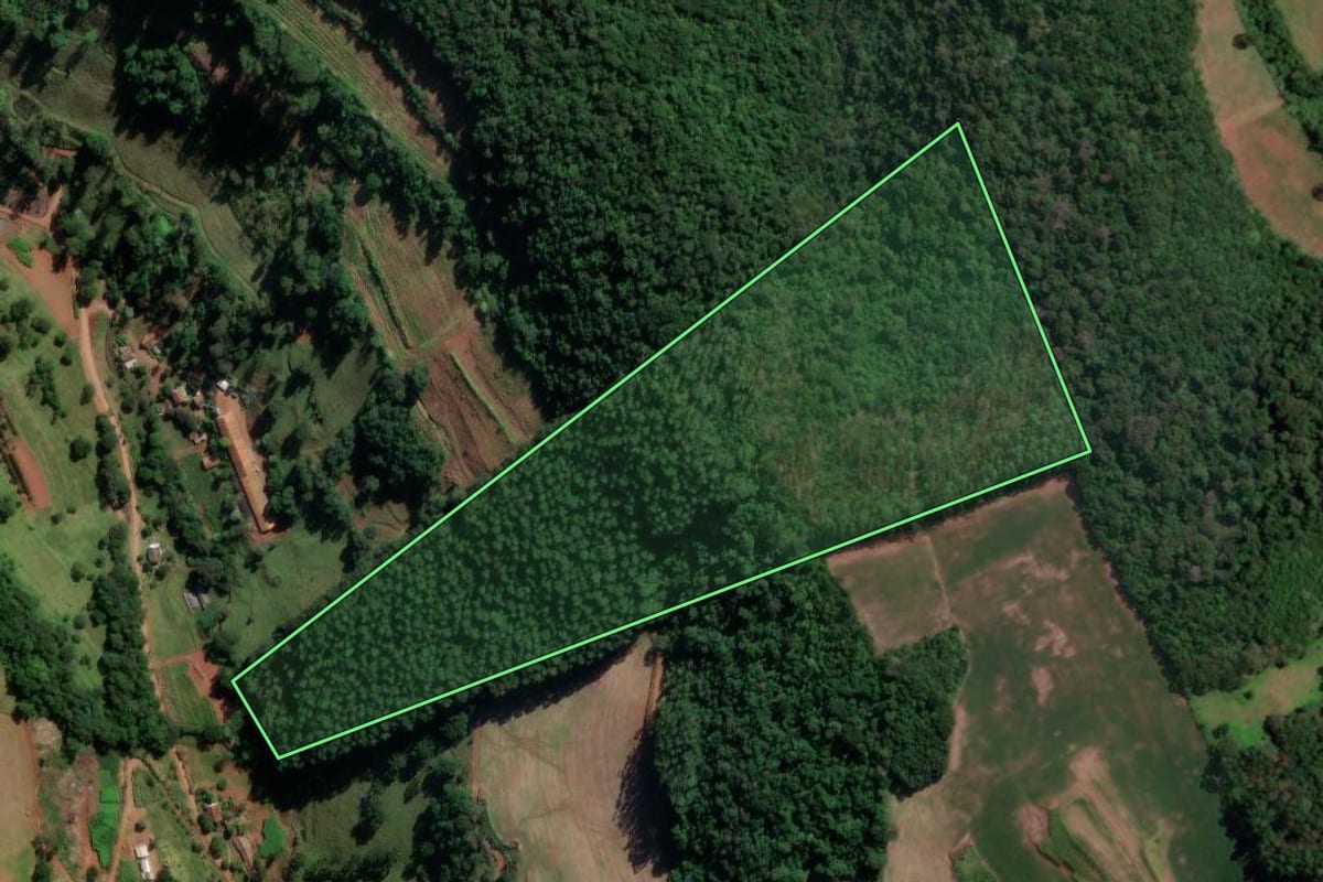 Imagem de satélite do imóvel rural em Chapecó (SC), com o contorno declarado no CAR desenhado por cima.