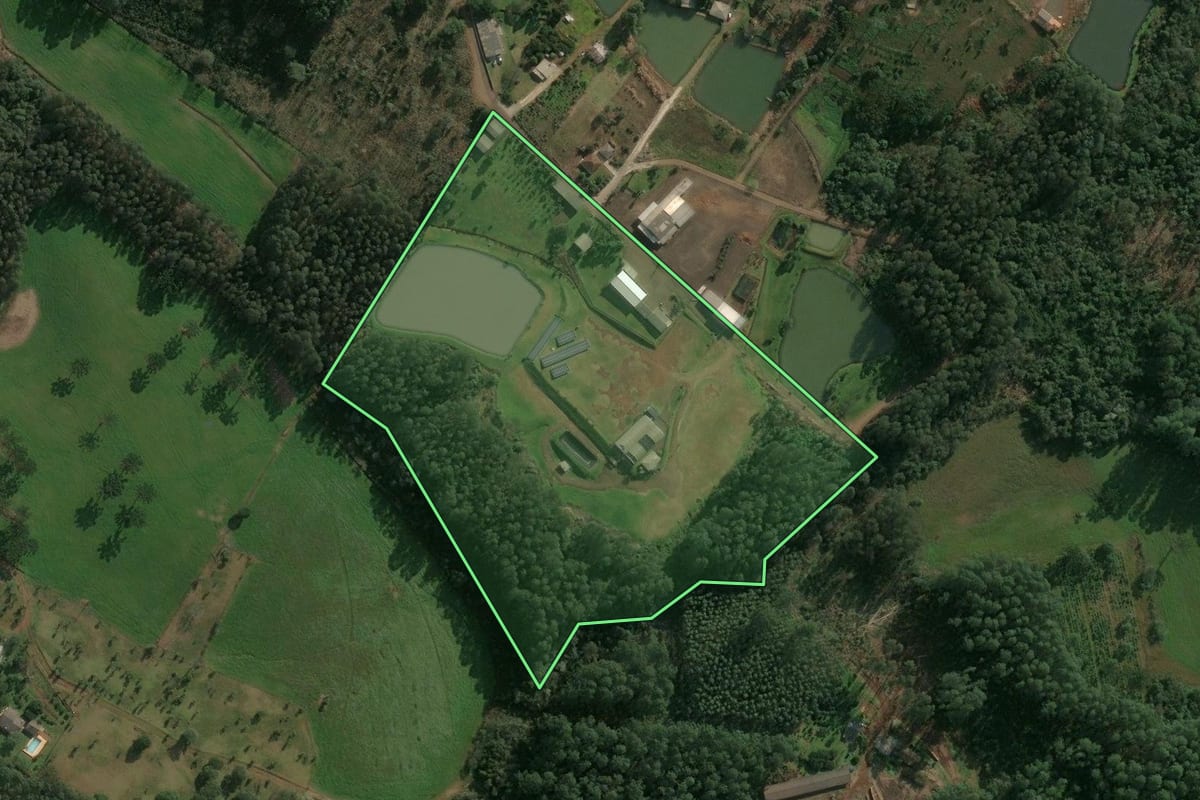 Imagem de satélite do imóvel rural em Chapecó (SC), com o contorno declarado no CAR desenhado por cima.