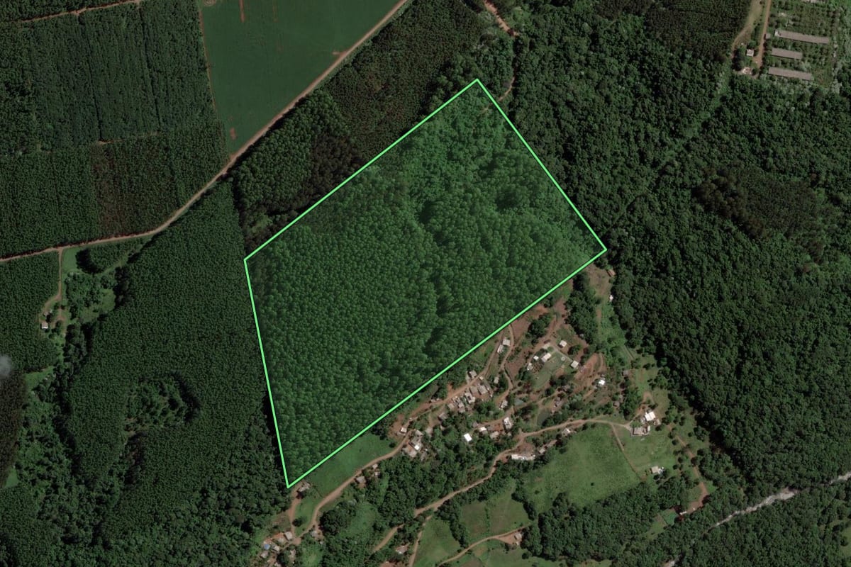 Imagem de satélite do imóvel rural em Chapecó (SC), com o contorno declarado no CAR desenhado por cima.