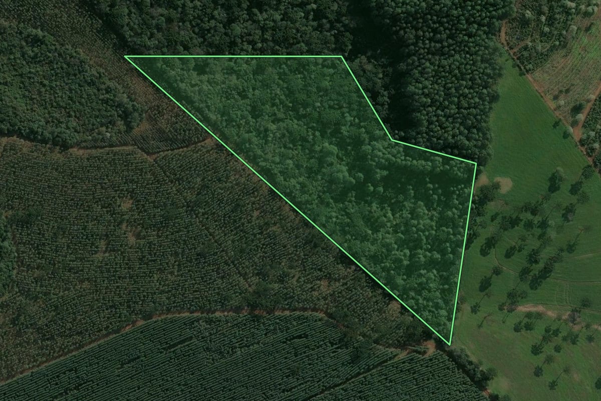 Imagem de satélite do imóvel rural em Chapecó (SC), com o contorno declarado no CAR desenhado por cima.