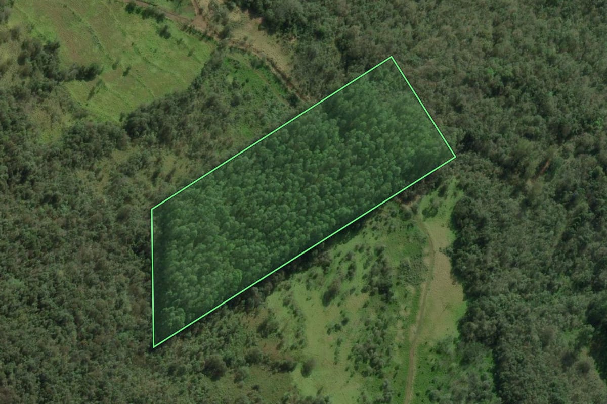 Imagem de satélite do imóvel rural em Chapecó (SC), com o contorno declarado no CAR desenhado por cima.