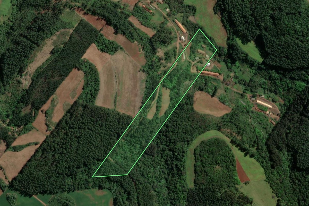 Imagem de satélite do imóvel rural em Chapecó (SC), com o contorno declarado no CAR desenhado por cima.