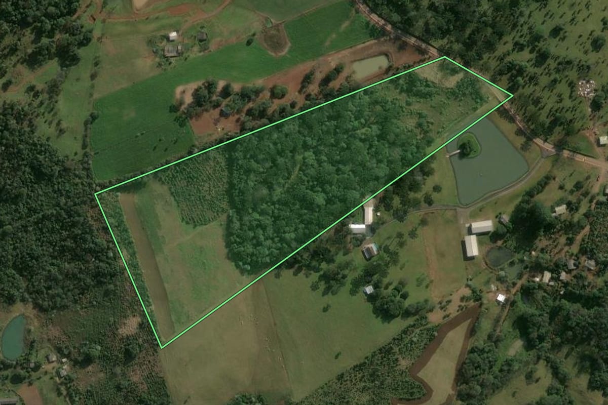 Imagem de satélite do imóvel rural em Chapecó (SC), com o contorno declarado no CAR desenhado por cima.