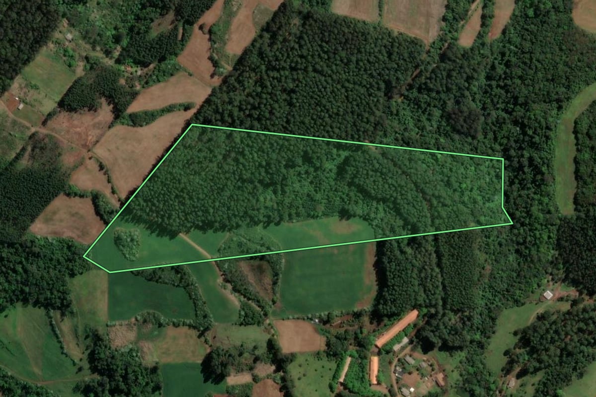 Imagem de satélite do imóvel rural em Chapecó (SC), com o contorno declarado no CAR desenhado por cima.