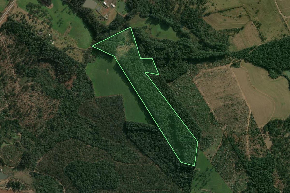 Imagem de satélite do imóvel rural em Chapecó (SC), com o contorno declarado no CAR desenhado por cima.