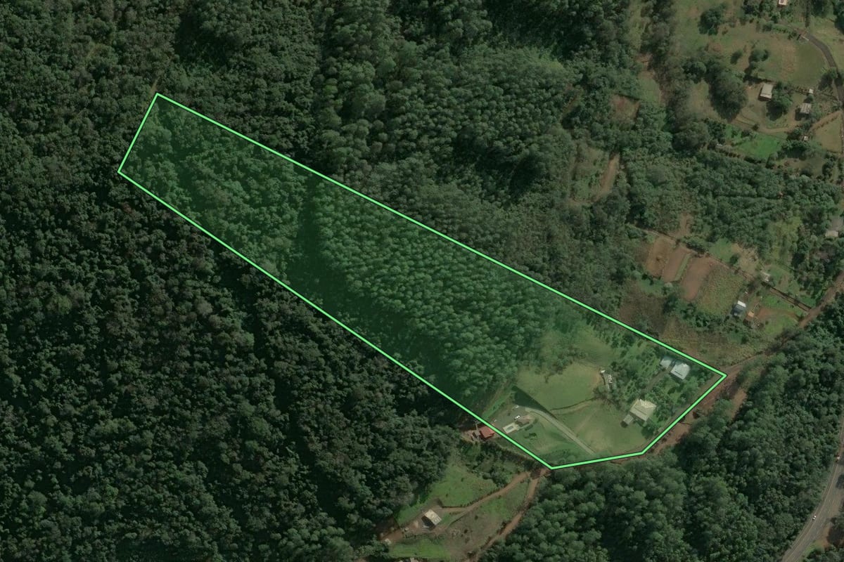 Imagem de satélite do imóvel rural em Chapecó (SC), com o contorno declarado no CAR desenhado por cima.