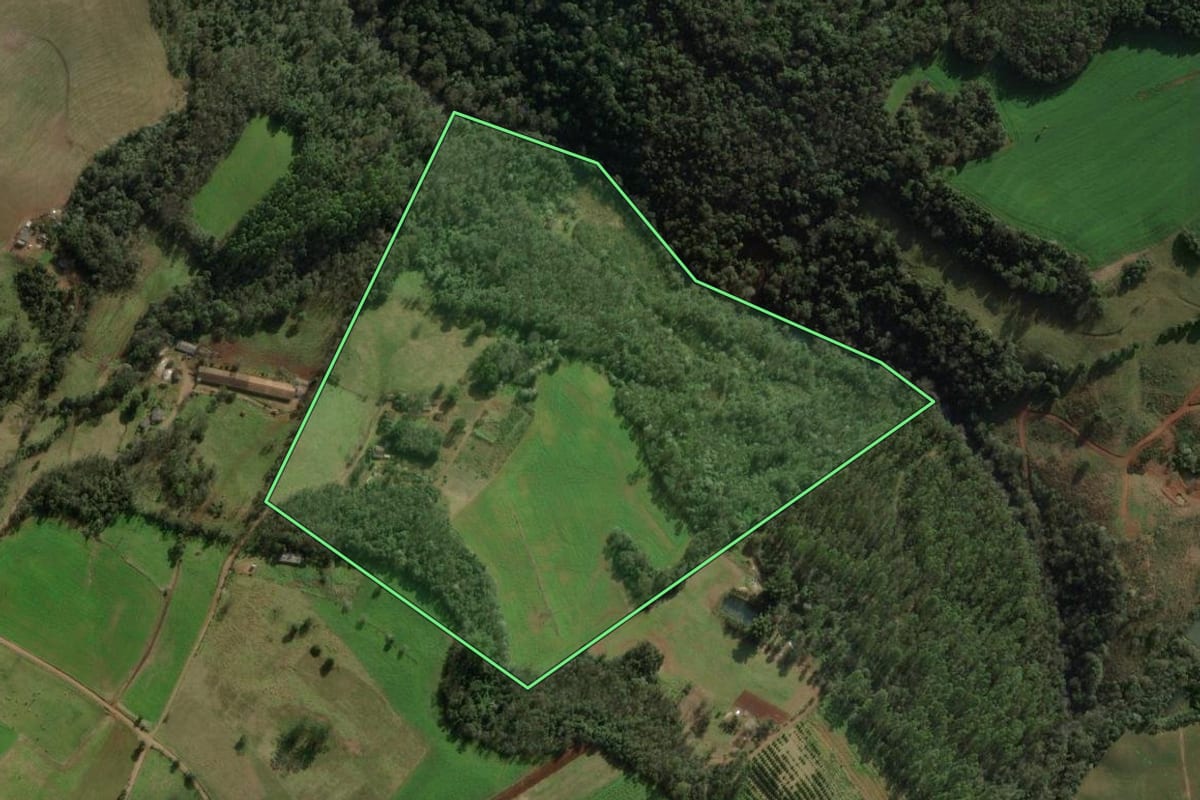 Imagem de satélite do imóvel rural em Chapecó (SC), com o contorno declarado no CAR desenhado por cima.