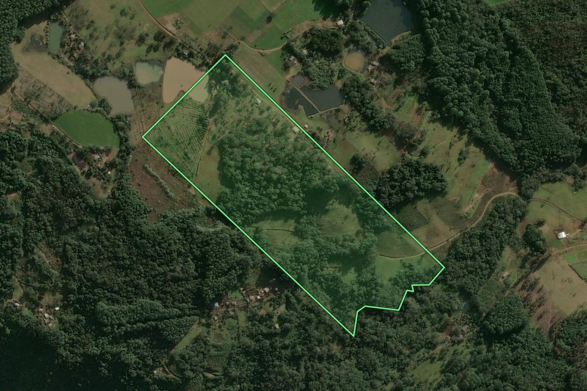Imagem de satélite do imóvel rural em Chapecó (SC), com o contorno declarado no CAR desenhado por cima.
