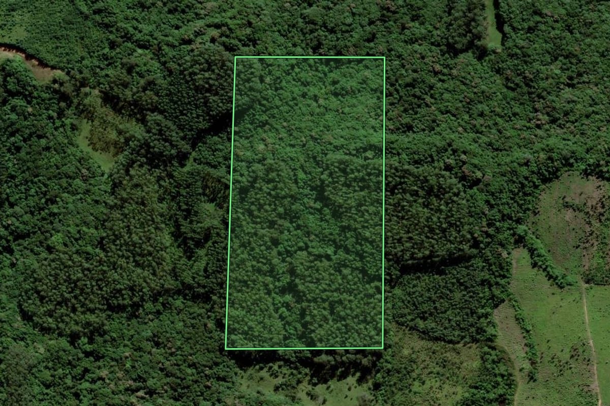 Imagem de satélite do imóvel rural em Cocal do Sul (SC), com o contorno declarado no CAR desenhado por cima.