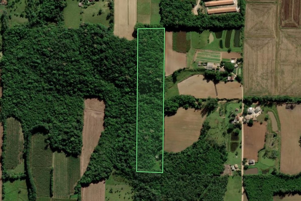 Imagem de satélite do imóvel rural em Cocal do Sul (SC), com o contorno declarado no CAR desenhado por cima.