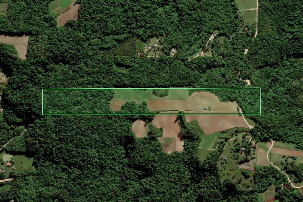 Imagem de satélite do imóvel rural em Cocal do Sul (SC), com o contorno declarado no CAR desenhado por cima.