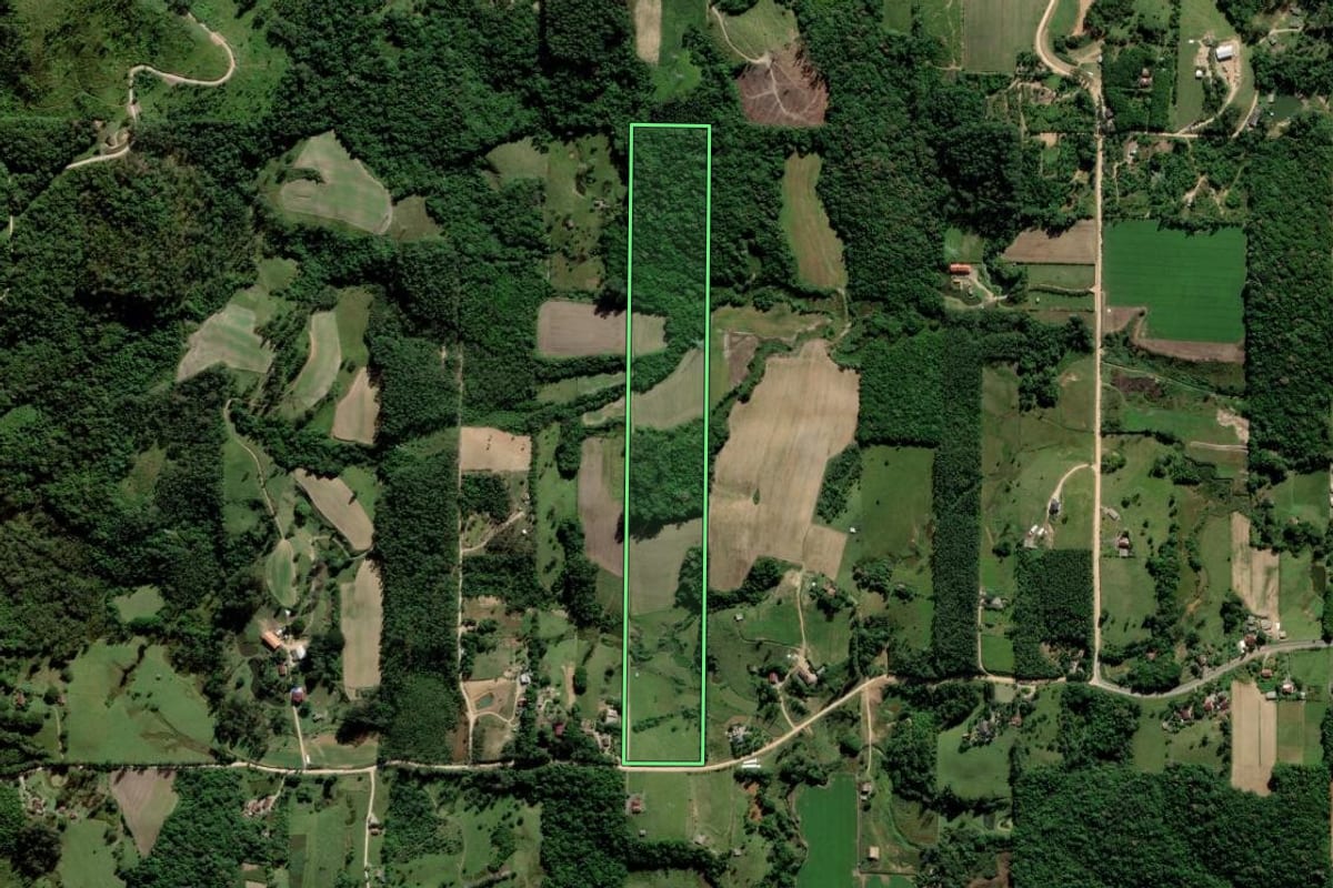 Imagem de satélite do imóvel rural em Cocal do Sul (SC), com o contorno declarado no CAR desenhado por cima.