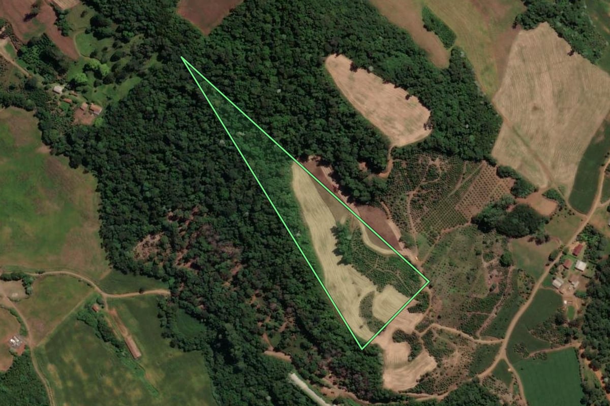 Imagem de satélite do imóvel rural em Concórdia (SC), com o contorno declarado no CAR desenhado por cima.