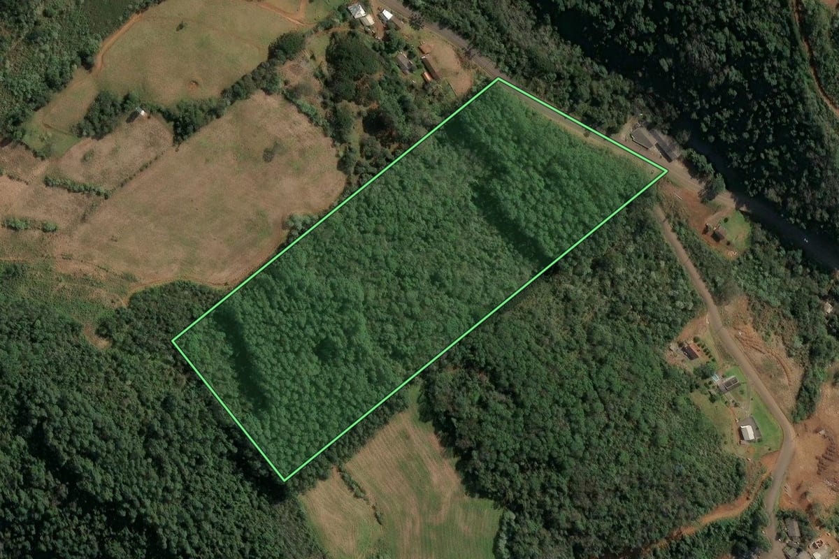 Imagem de satélite do imóvel rural em Concórdia (SC), com o contorno declarado no CAR desenhado por cima.