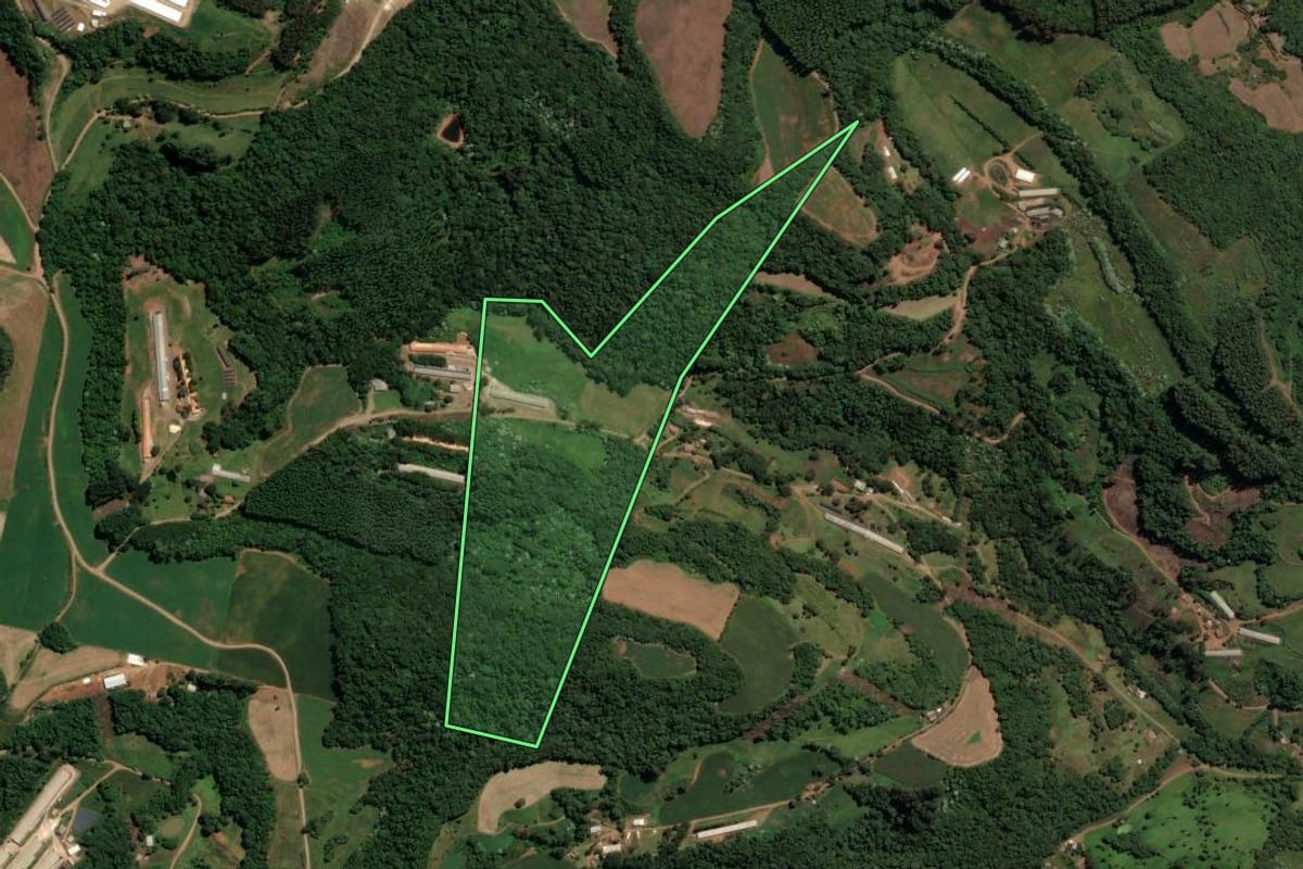 Imagem de satélite do imóvel rural em Concórdia (SC), com o contorno declarado no CAR desenhado por cima.