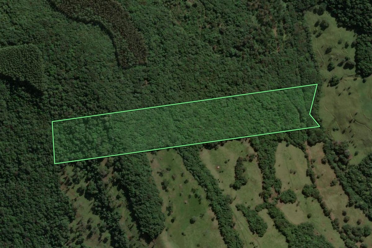 Imagem de satélite do imóvel rural em Concórdia (SC), com o contorno declarado no CAR desenhado por cima.