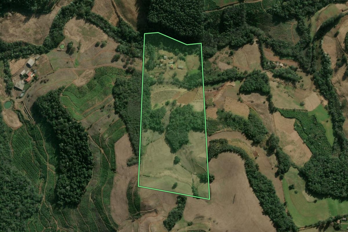 Imagem de satélite do imóvel rural em Concórdia (SC), com o contorno declarado no CAR desenhado por cima.