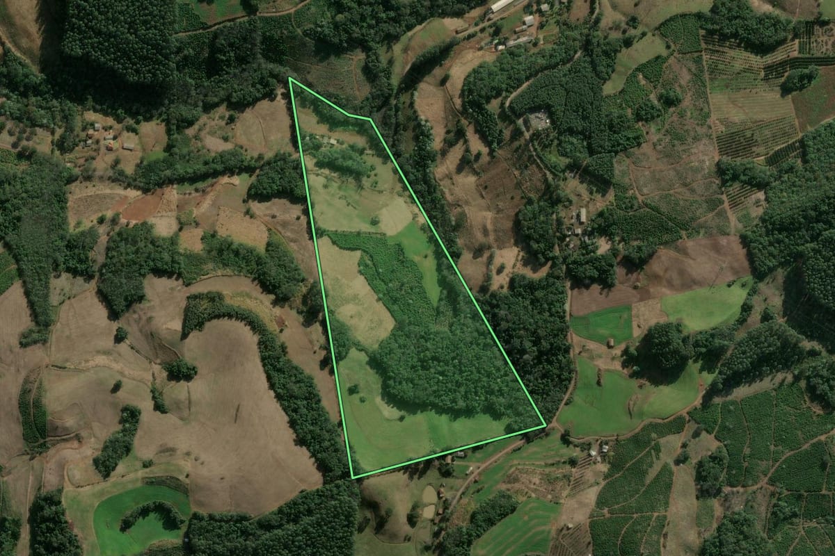 Imagem de satélite do imóvel rural em Concórdia (SC), com o contorno declarado no CAR desenhado por cima.