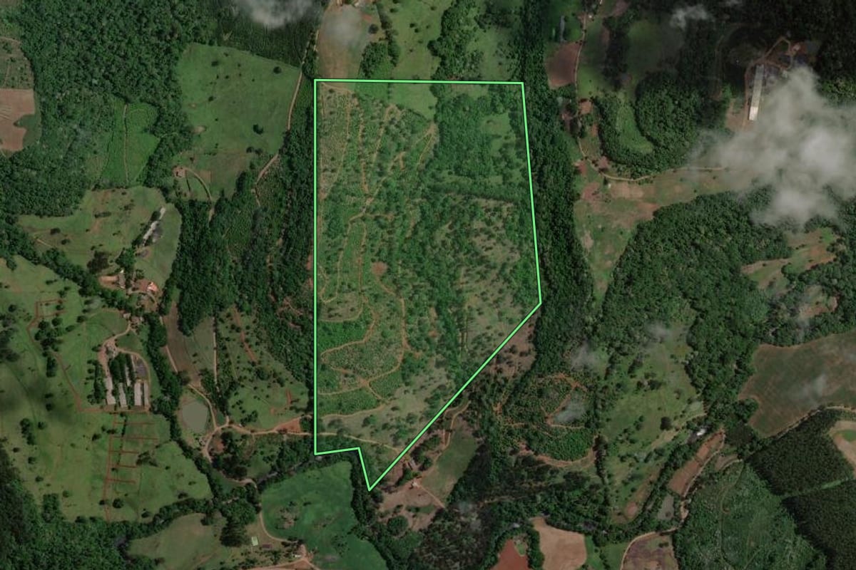 Imagem de satélite do imóvel rural em Concórdia (SC), com o contorno declarado no CAR desenhado por cima.