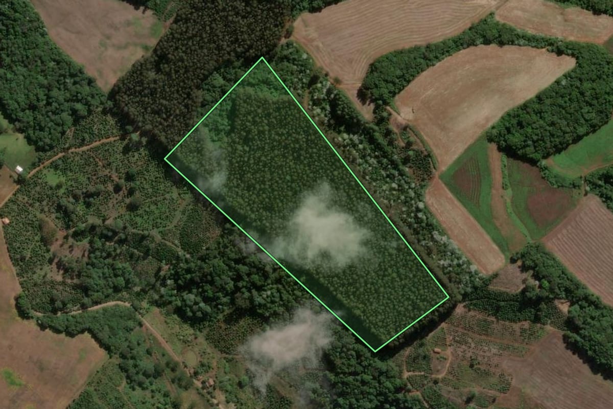 Imagem de satélite do imóvel rural em Concórdia (SC), com o contorno declarado no CAR desenhado por cima.