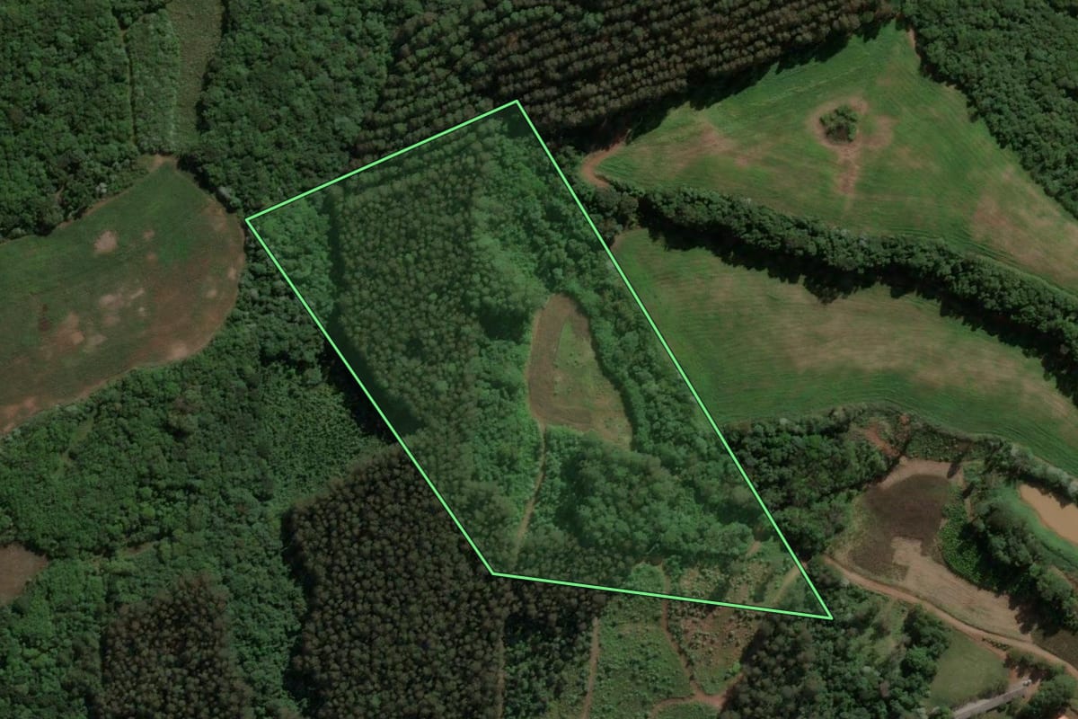 Imagem de satélite do imóvel rural em Concórdia (SC), com o contorno declarado no CAR desenhado por cima.
