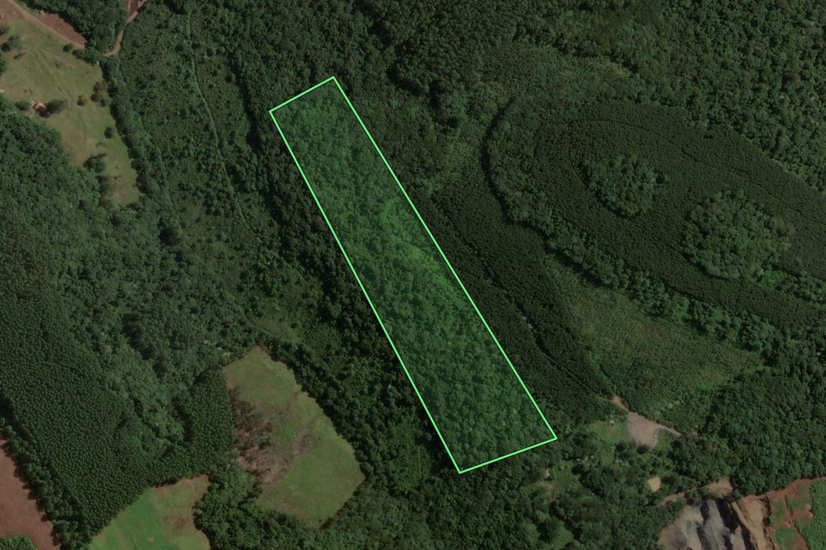 Imagem de satélite do imóvel rural em Concórdia (SC), com o contorno declarado no CAR desenhado por cima.