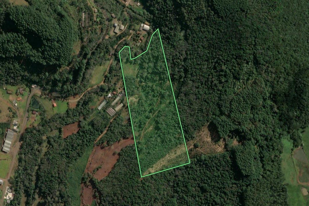 Imagem de satélite do imóvel rural em Concórdia (SC), com o contorno declarado no CAR desenhado por cima.