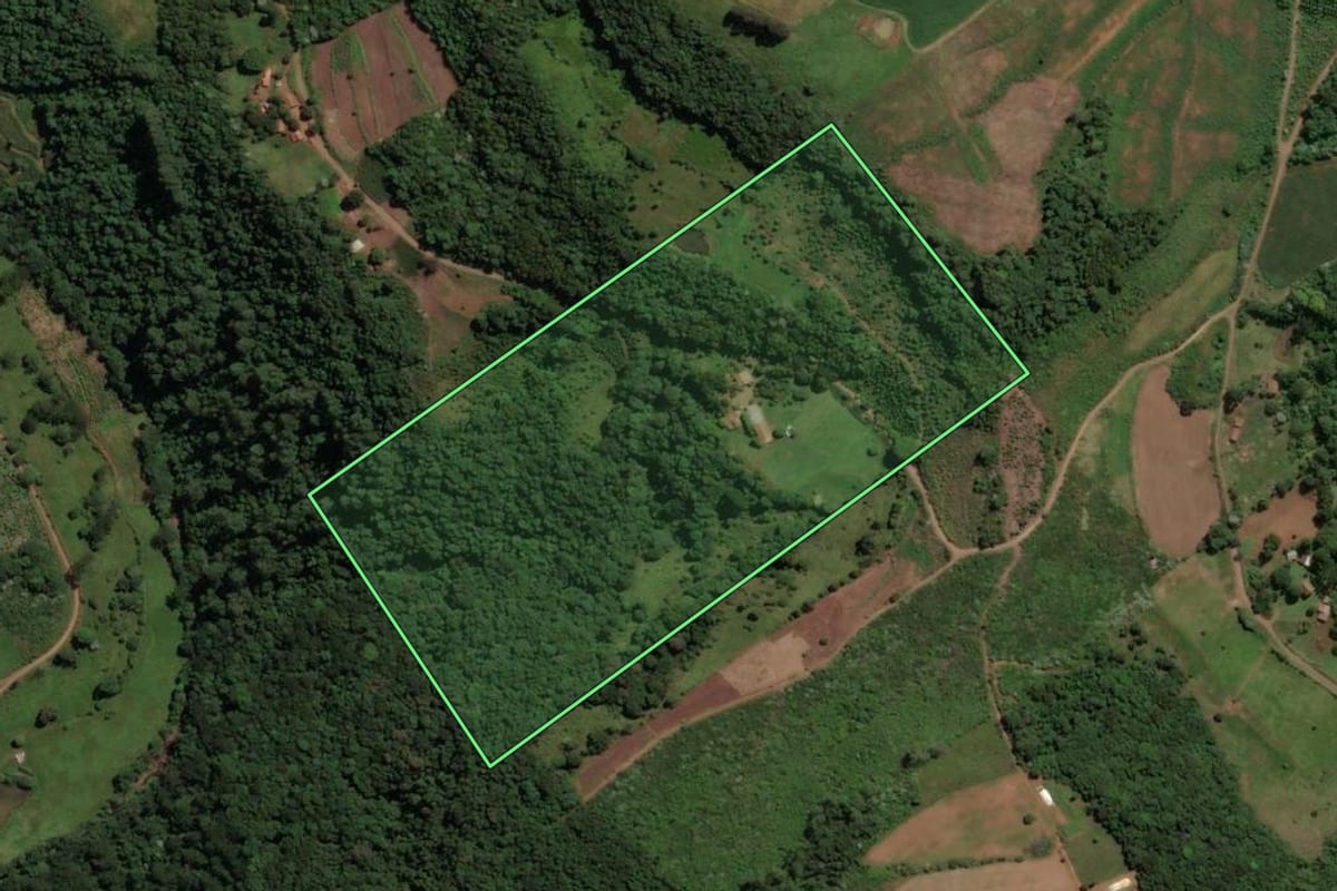Imagem de satélite do imóvel rural em Concórdia (SC), com o contorno declarado no CAR desenhado por cima.