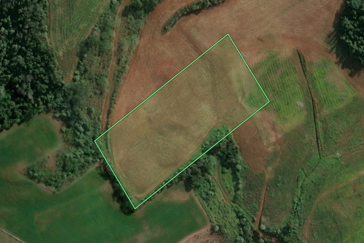 Imagem de satélite do imóvel rural em Concórdia (SC), com o contorno declarado no CAR desenhado por cima.