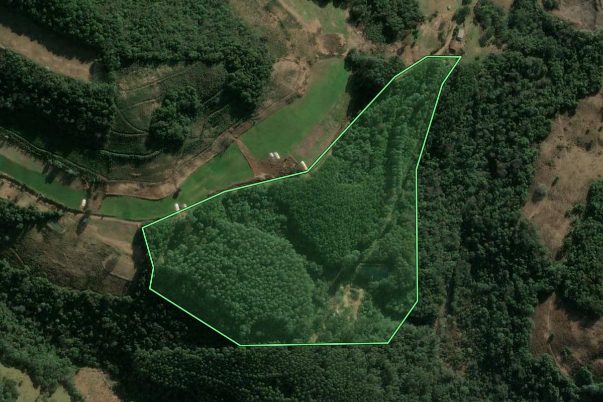 Imagem de satélite do imóvel rural em Concórdia (SC), com o contorno declarado no CAR desenhado por cima.