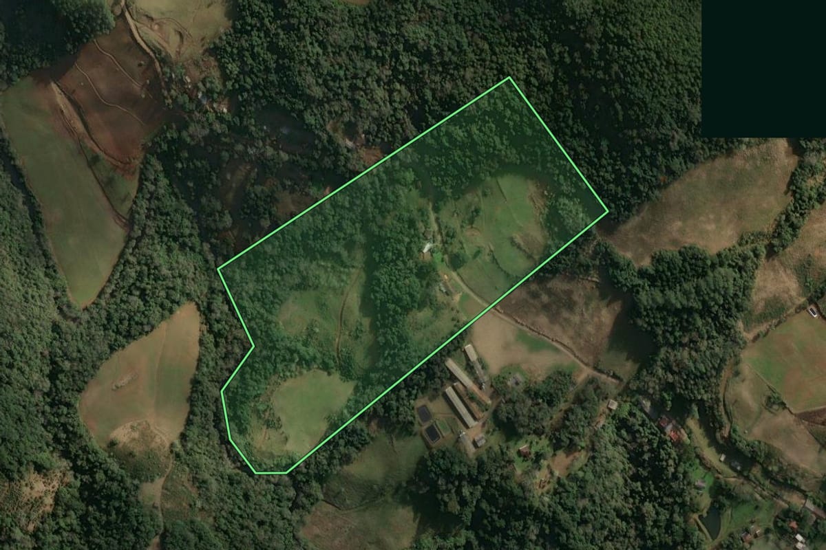 Imagem de satélite do imóvel rural em Concórdia (SC), com o contorno declarado no CAR desenhado por cima.