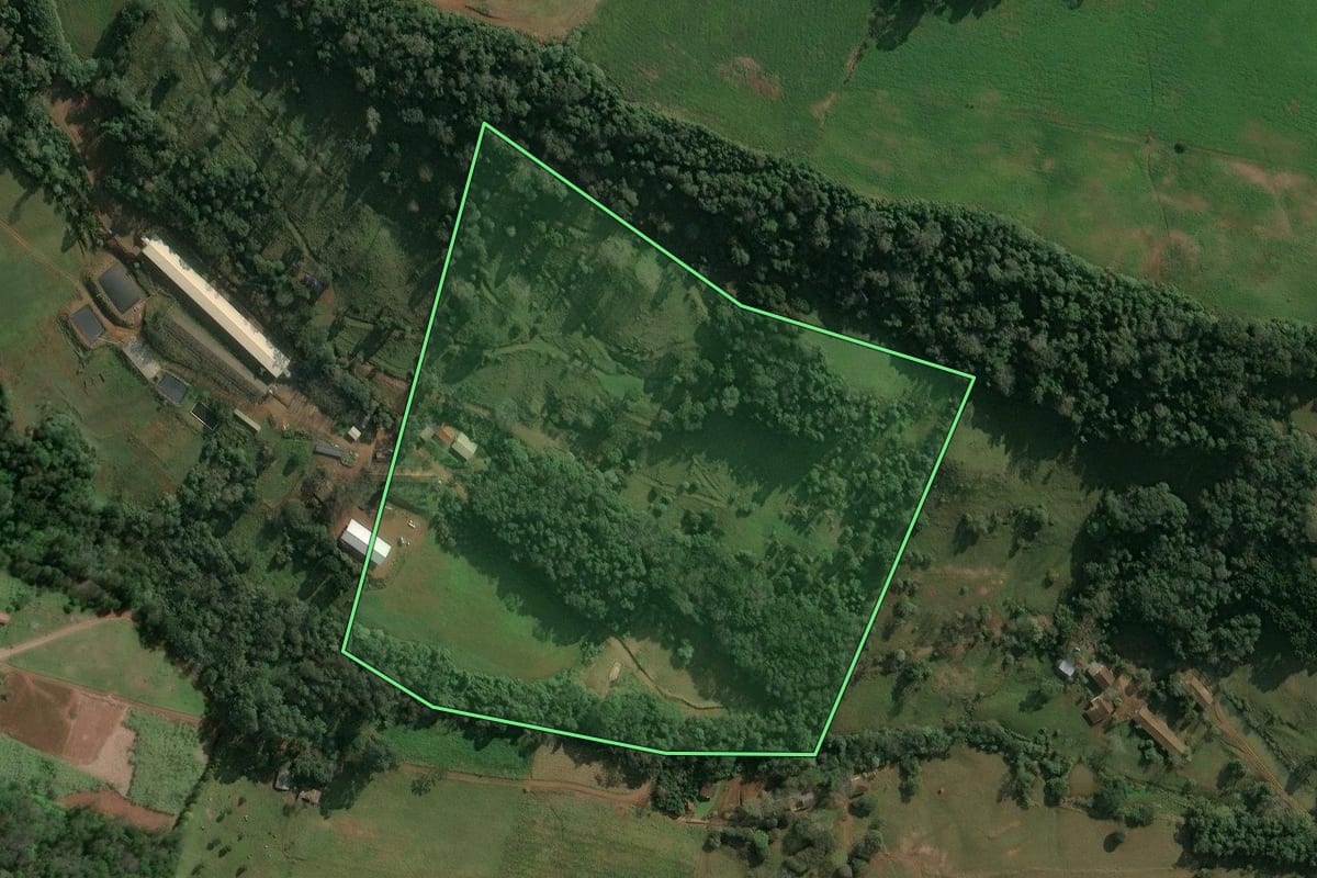 Imagem de satélite do imóvel rural em Concórdia (SC), com o contorno declarado no CAR desenhado por cima.