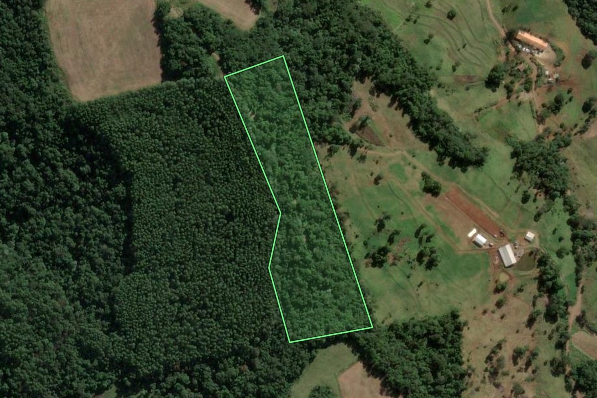 Imagem de satélite do imóvel rural em Concórdia (SC), com o contorno declarado no CAR desenhado por cima.