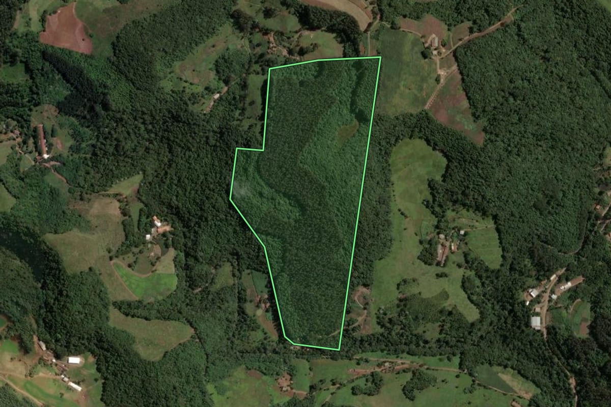 Imagem de satélite do imóvel rural em Concórdia (SC), com o contorno declarado no CAR desenhado por cima.