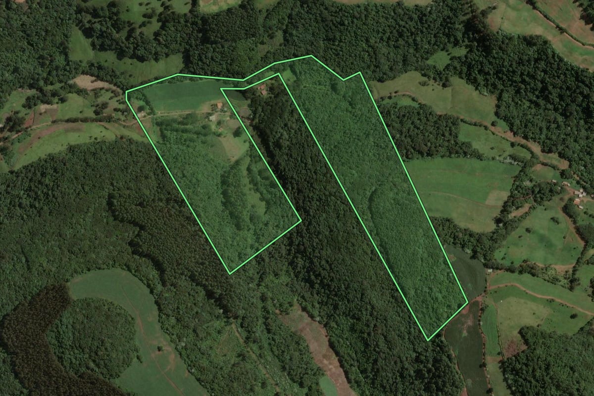 Imagem de satélite do imóvel rural em Concórdia (SC), com o contorno declarado no CAR desenhado por cima.
