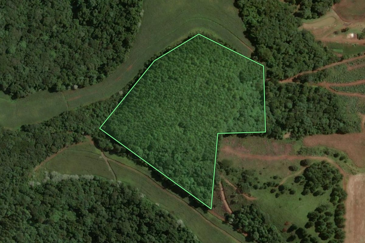 Imagem de satélite do imóvel rural em Concórdia (SC), com o contorno declarado no CAR desenhado por cima.