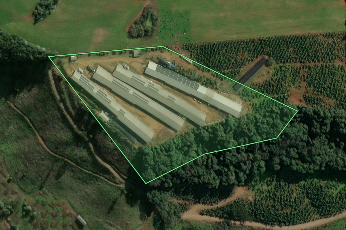 Imagem de satélite do imóvel rural em Concórdia (SC), com o contorno declarado no CAR desenhado por cima.