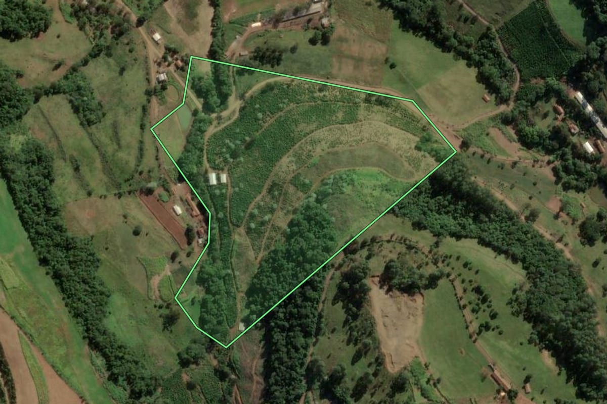 Imagem de satélite do imóvel rural em Concórdia (SC), com o contorno declarado no CAR desenhado por cima.