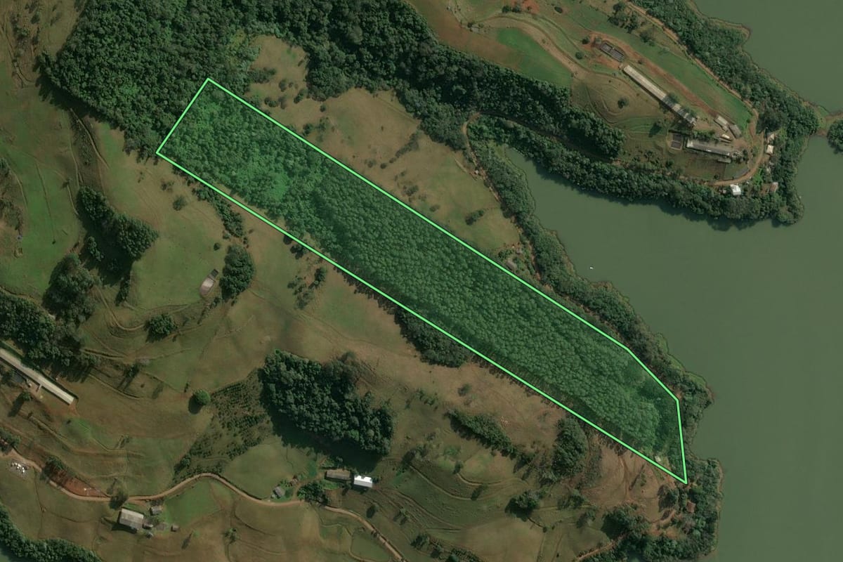 Imagem de satélite do imóvel rural em Concórdia (SC), com o contorno declarado no CAR desenhado por cima.