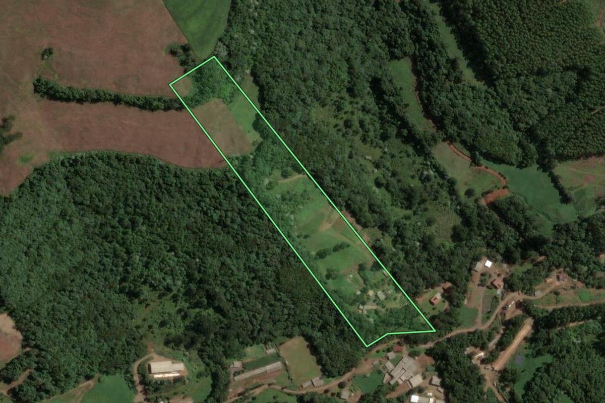 Imagem de satélite do imóvel rural em Concórdia (SC), com o contorno declarado no CAR desenhado por cima.