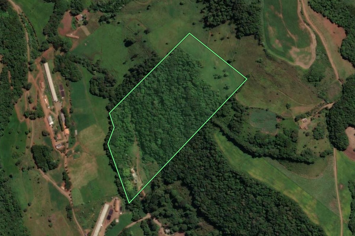 Imagem de satélite do imóvel rural em Concórdia (SC), com o contorno declarado no CAR desenhado por cima.