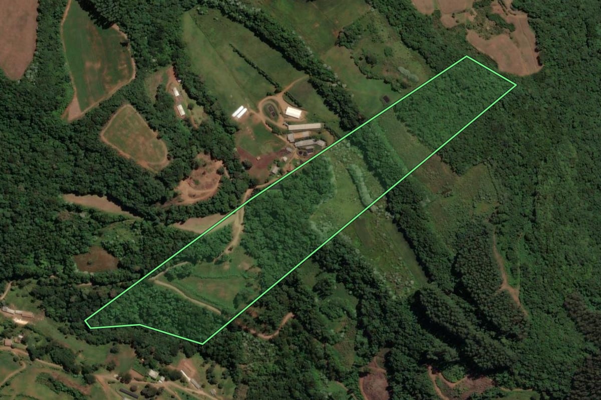Imagem de satélite do imóvel rural em Concórdia (SC), com o contorno declarado no CAR desenhado por cima.