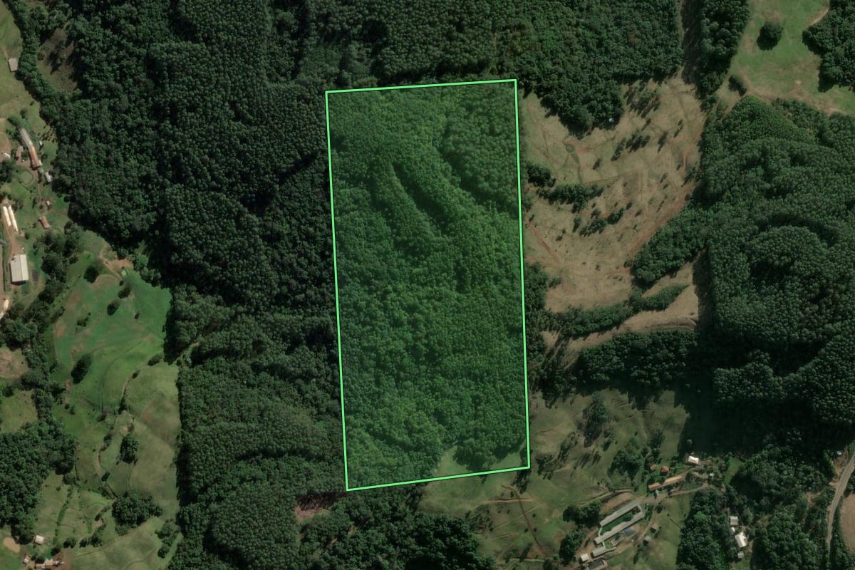 Imagem de satélite do imóvel rural em Concórdia (SC), com o contorno declarado no CAR desenhado por cima.