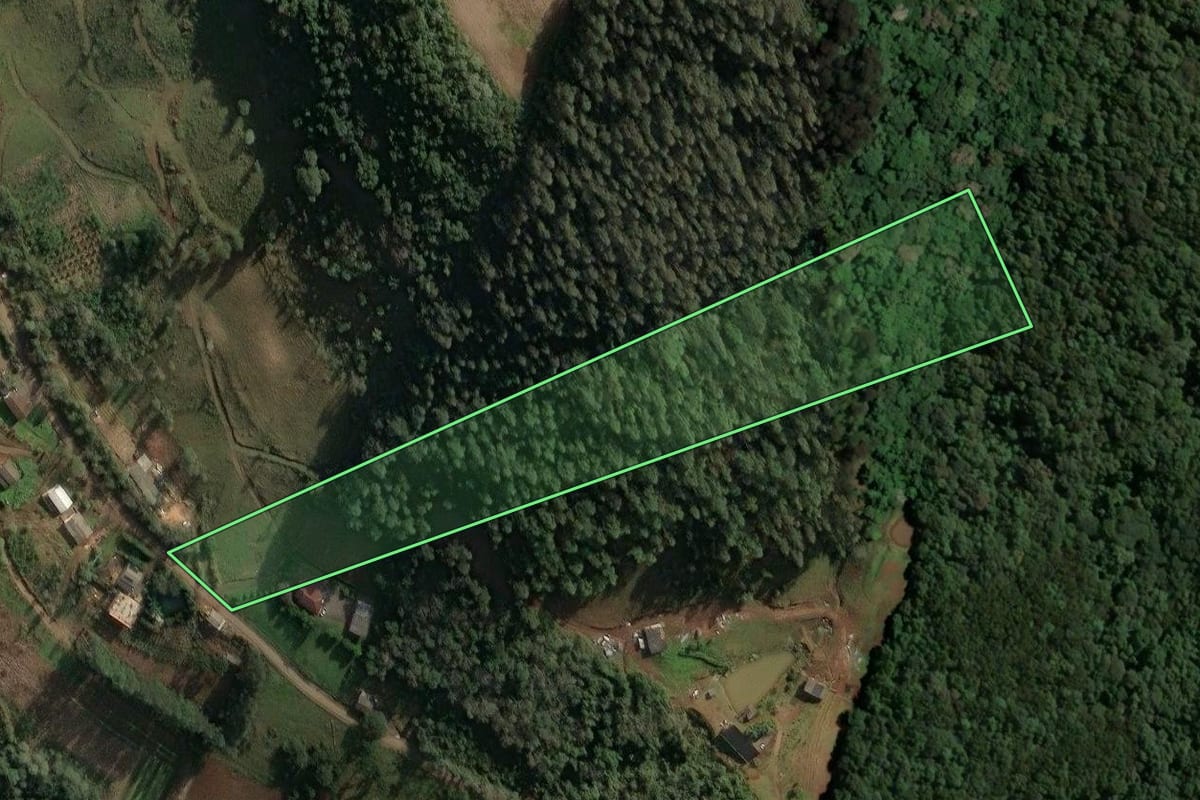 Imagem de satélite do imóvel rural em Concórdia (SC), com o contorno declarado no CAR desenhado por cima.