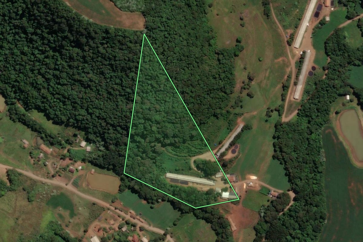 Imagem de satélite do imóvel rural em Concórdia (SC), com o contorno declarado no CAR desenhado por cima.