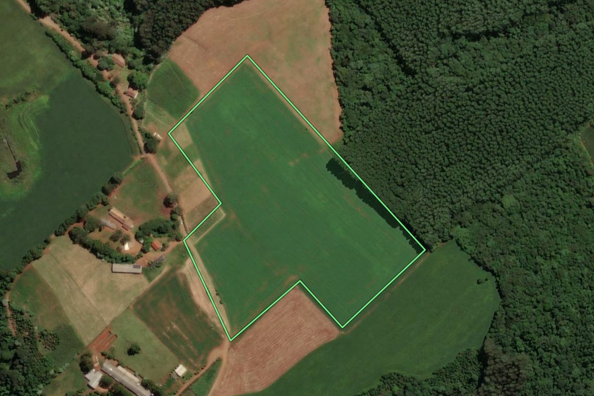 Imagem de satélite do imóvel rural em Concórdia (SC), com o contorno declarado no CAR desenhado por cima.